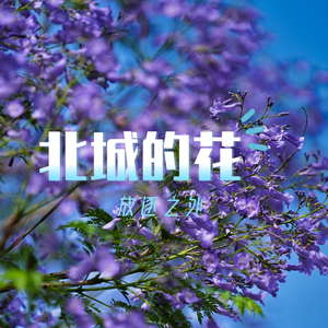 北城的花