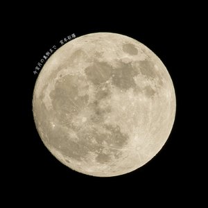 今宵月の裏側まで
