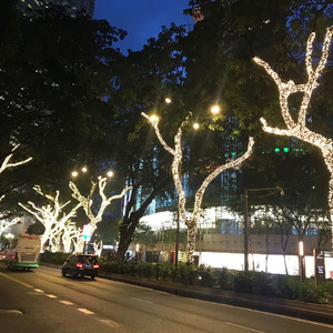 Janji Pernikahan Suami Istri