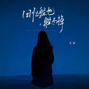 回忆躲也躲不掉 (DJ魅音版伴奏)