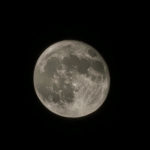 坚决（JestonBeatz）