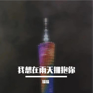 我想在雨天拥抱你
