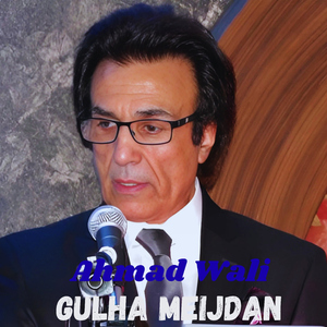 Gulha Meijdan