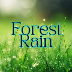 Salt Lake City Rain: Meditation & Restful Sleep