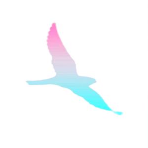 Learn to Fly (Instrumental)