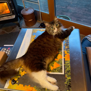 Prelude No. 12 in G-Sharp Minor