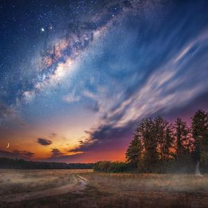 Lovely, Sweet, And Sensual