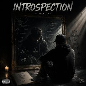 Introspection
