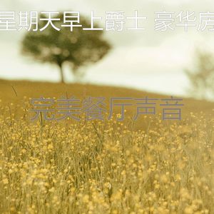 柔和的午餐时刻