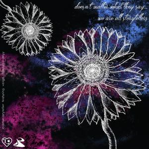 romance (feat. veiiga)