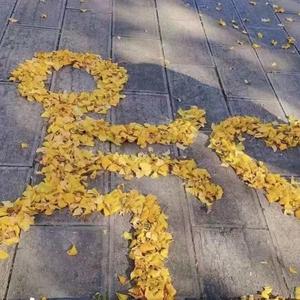 风都知道(伴奏)_stitch.wav