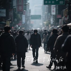 你离开了我以后