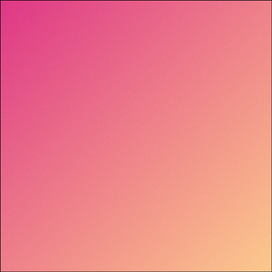 ANIMALS (Cover)