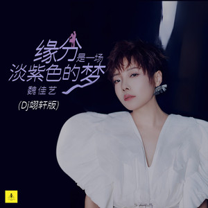 缘分是一场淡紫色的梦 (Dj翊轩版)