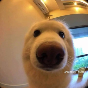 Hối Hận Trong Anh