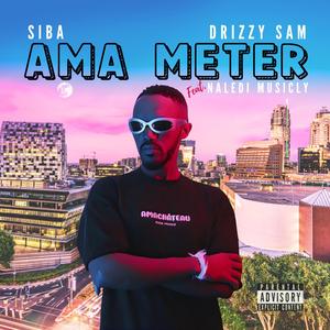 AmaMeter (feat. Naledi Musicly)