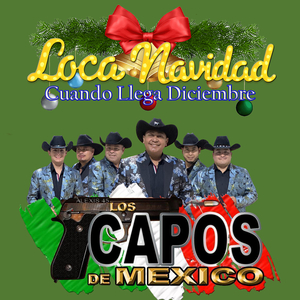 Loca Navidad (Cuando Llega Diciembre)