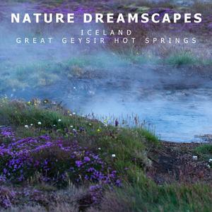 Soft Hot Springs, Birds and Strokkur Geyser in Iceland