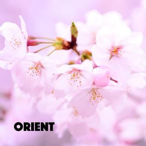 Orient