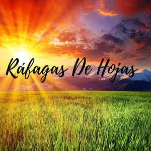 Ráfagas De Hojas