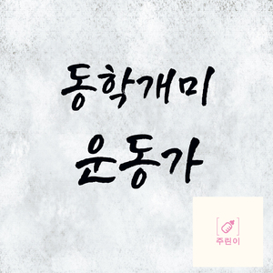 동학개미 운동가