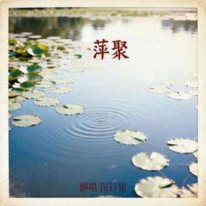 萍聚 (图钉姐慢摇版)