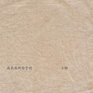 成长及所给予的（The most beautiful regret）