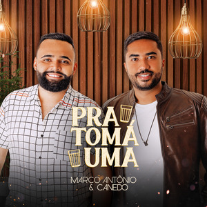 Voltando pra Te Ver (Ao Vivo)