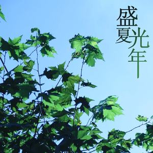 盛夏光年（伴奏）