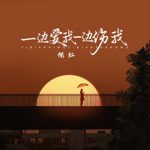 一边爱我一边伤我