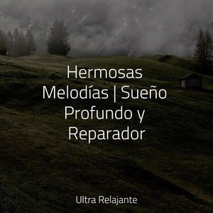 Perdido en El Paraíso