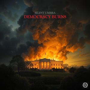 Democracy Burns