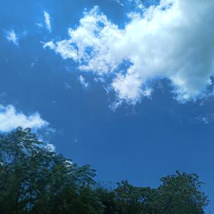 蓬莱岛( prod by Jaymes Young)