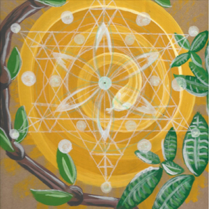 Maestrita Curandeira