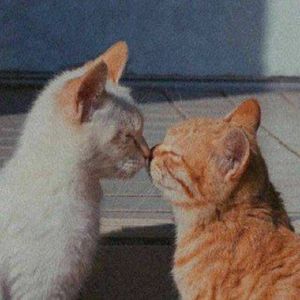 “望春风”采样 Boom Bap Beat | "Hawaii"