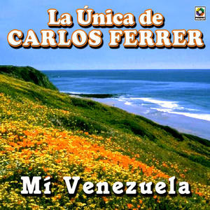 La Perijanera