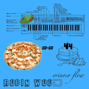 Orinoco Flow (House Mix)