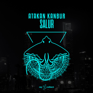 Salur (Original Mix)