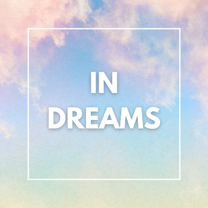 The Last Thing You See