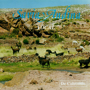 Viva Mi Patria Bolivia