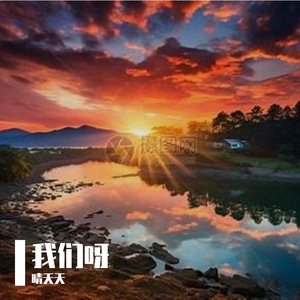 竹影