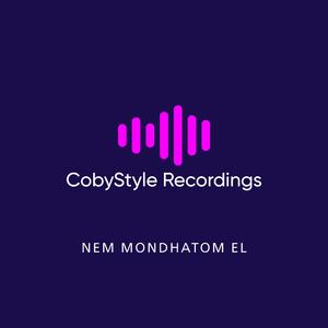 Nem mondhatom el