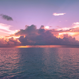 Touched by the Breeze