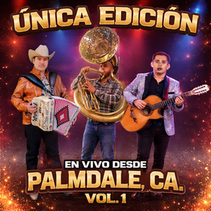 Bohemio De Aficion (En Vivo)