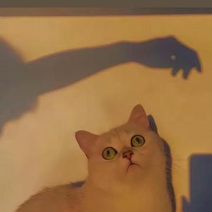 只怕我自己会爱上你