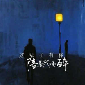 这辈子有你陪着我喝醉