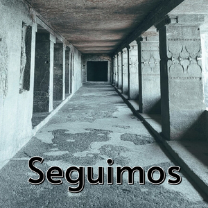 Seguimos
