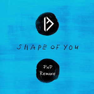 Shape of You (PnD Remake)