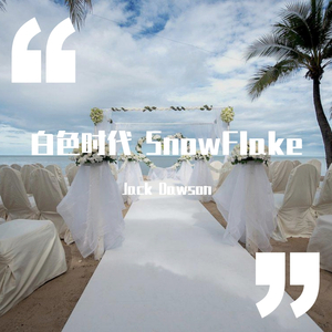 白色时代 Snow Flake
