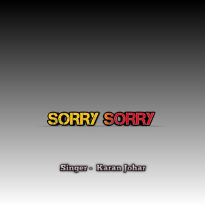 Sorry Sorry